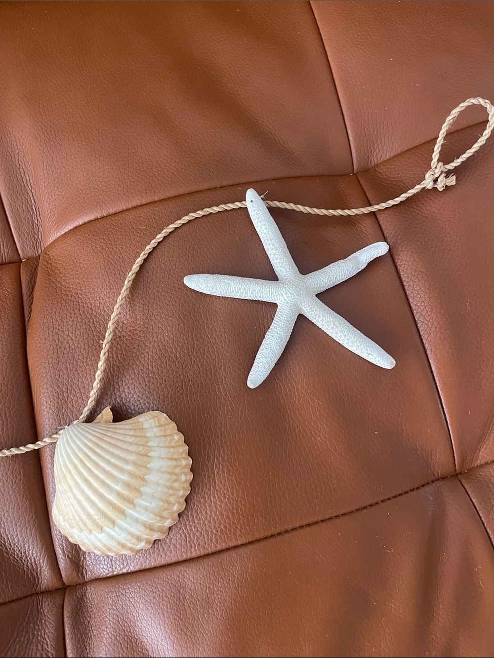 Shell Decor - Picture 3 of 3